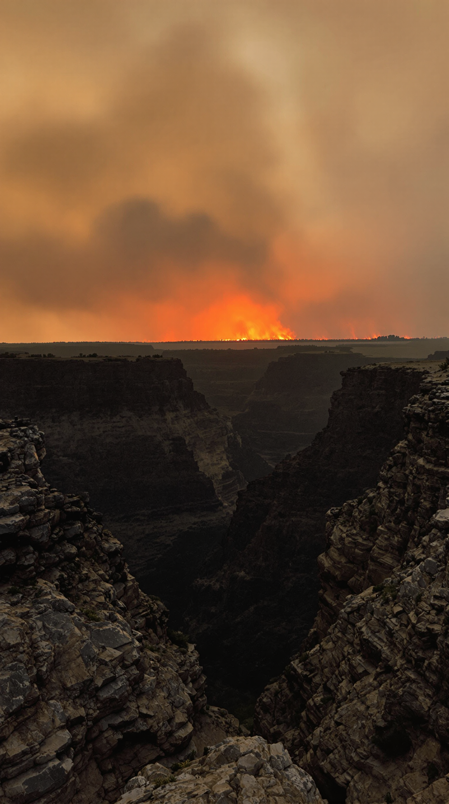 Dramatic Wildfire Scene Created by Kids Using AI Technology